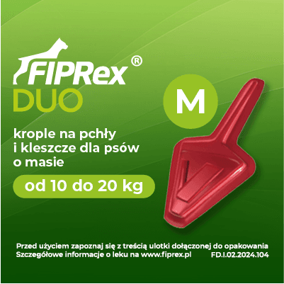 8f1ddf89d0656206efb26fba83f41b6b